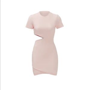 Elizabeth and James Sheath Blush Short Dress